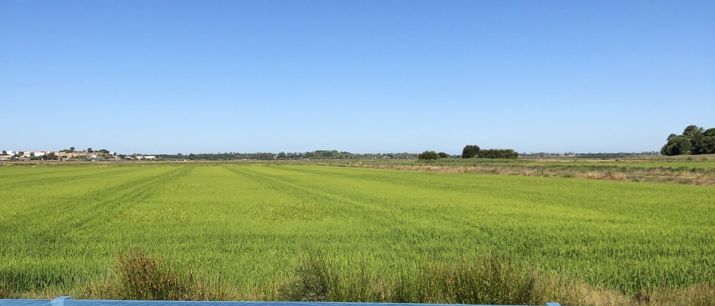 Ivana Giachino photos from Portugal